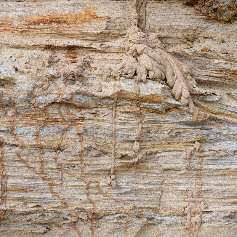 dribbles of wet sand down a rock face