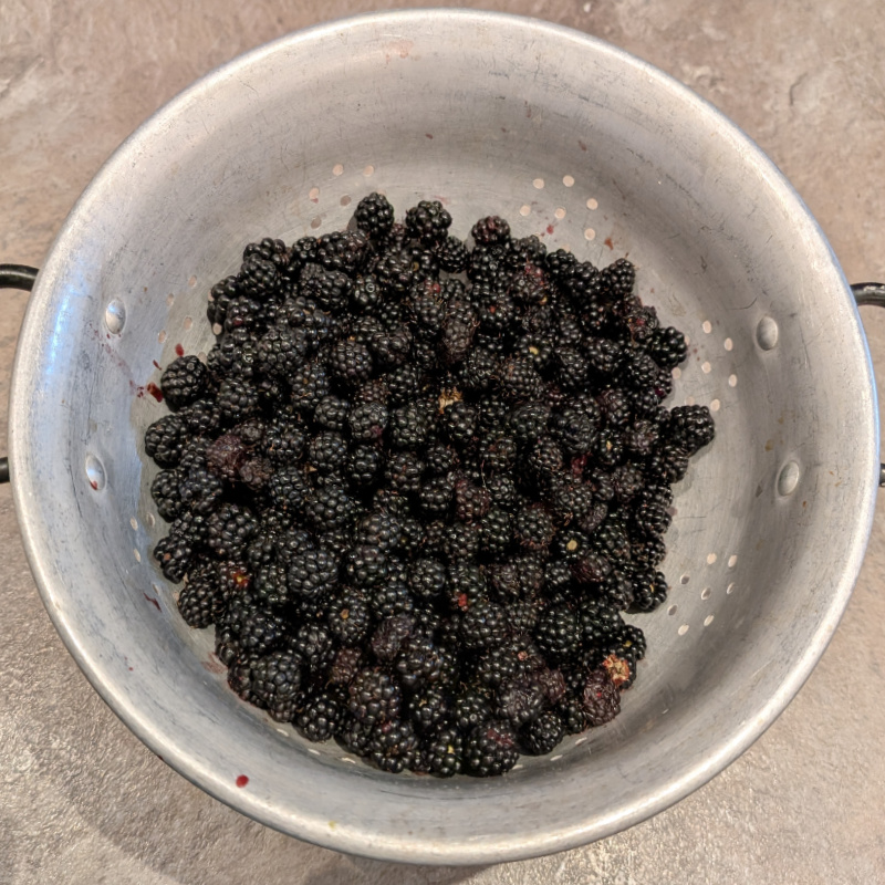 colander of berries