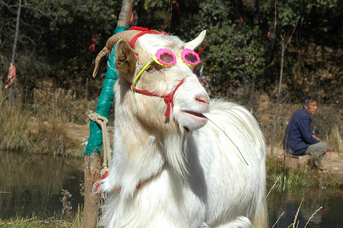 You go girl! Looking Good.