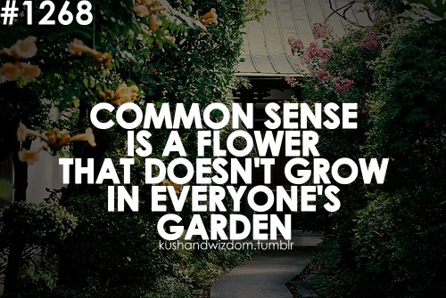 Common sense is a flower that doesn't grow in everyone's garden.