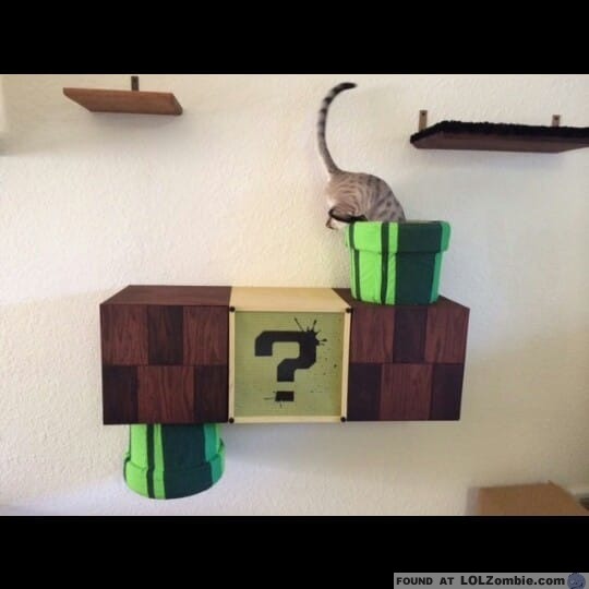 Cat Entering Mario Tube