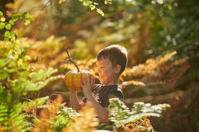 Pic by Guy Harrop/RHS 26/10/22. Surrounded by Autumn colour and nature. 6 year old visitor Rhilea Mullins makes the most of the half term activities playing with a pumpkin in a forest of golden hues at RHS Garden Rosemoor, Devon. Autumn is just starting