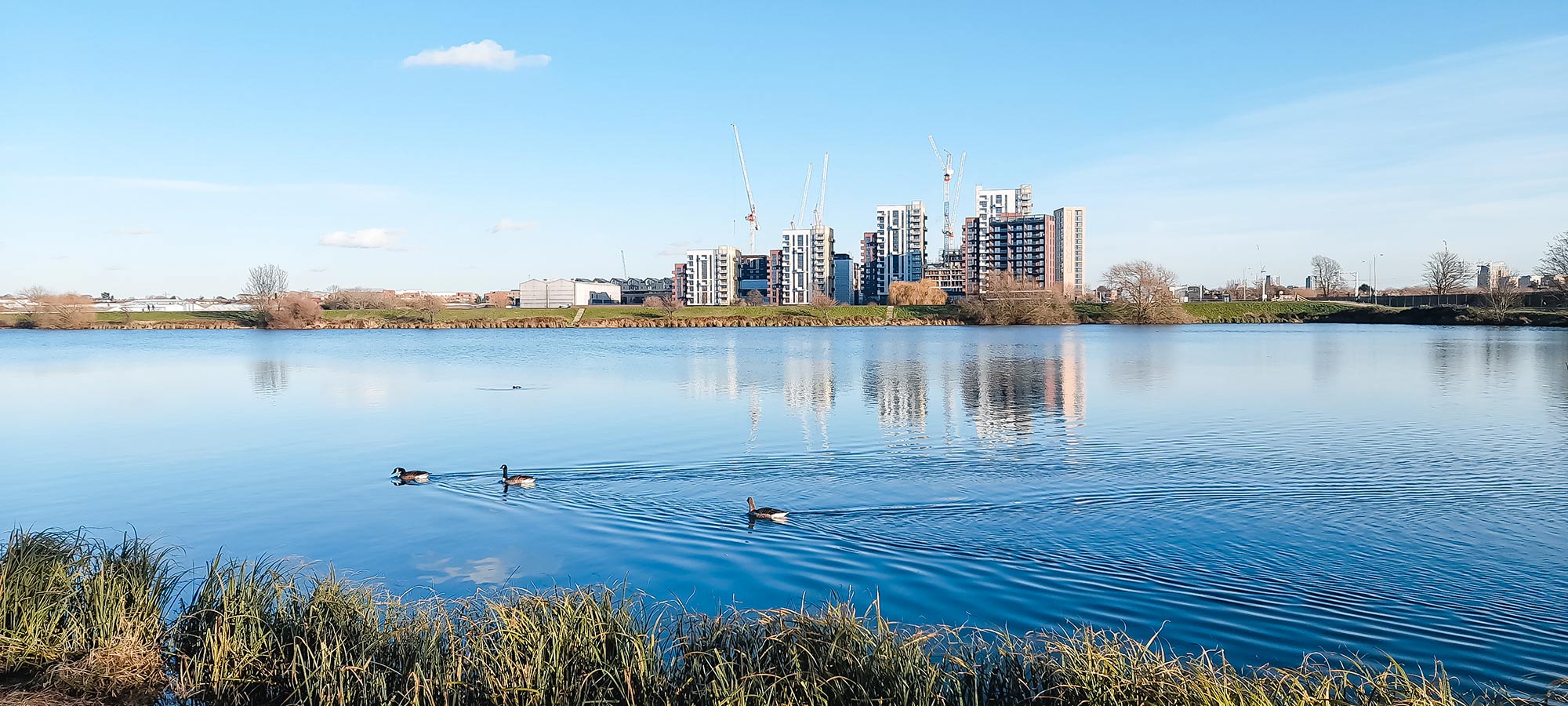 Walthamstow wetlands free things to do in London