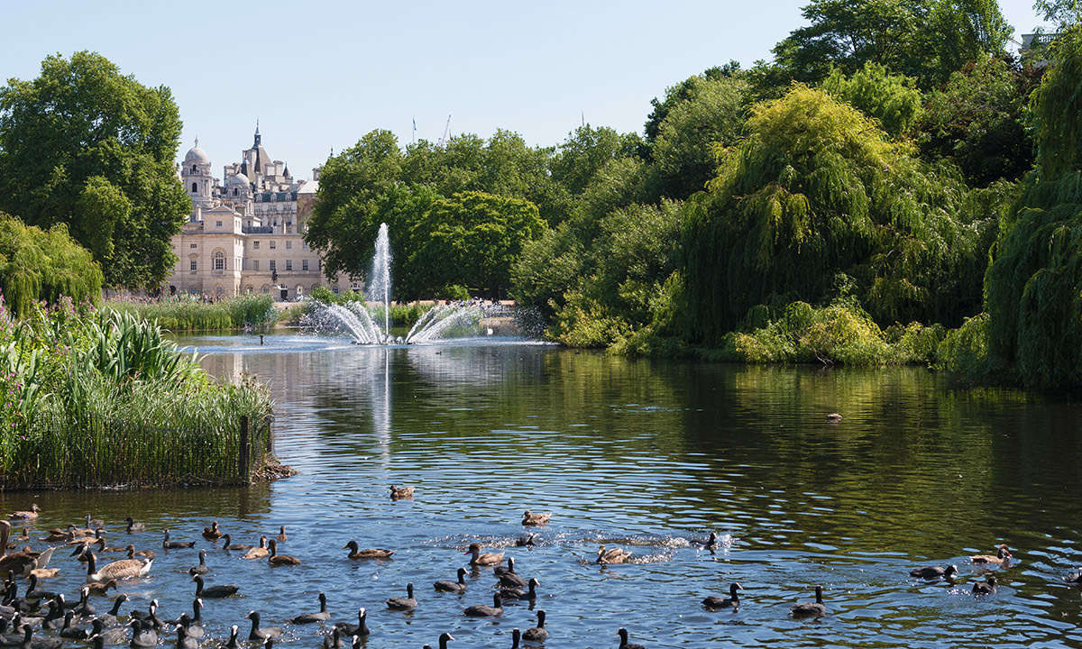 St James’s Park: Visitors Guide