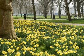 Green Park visitors guide.