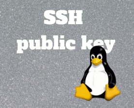 Linux penguin logo in front of text