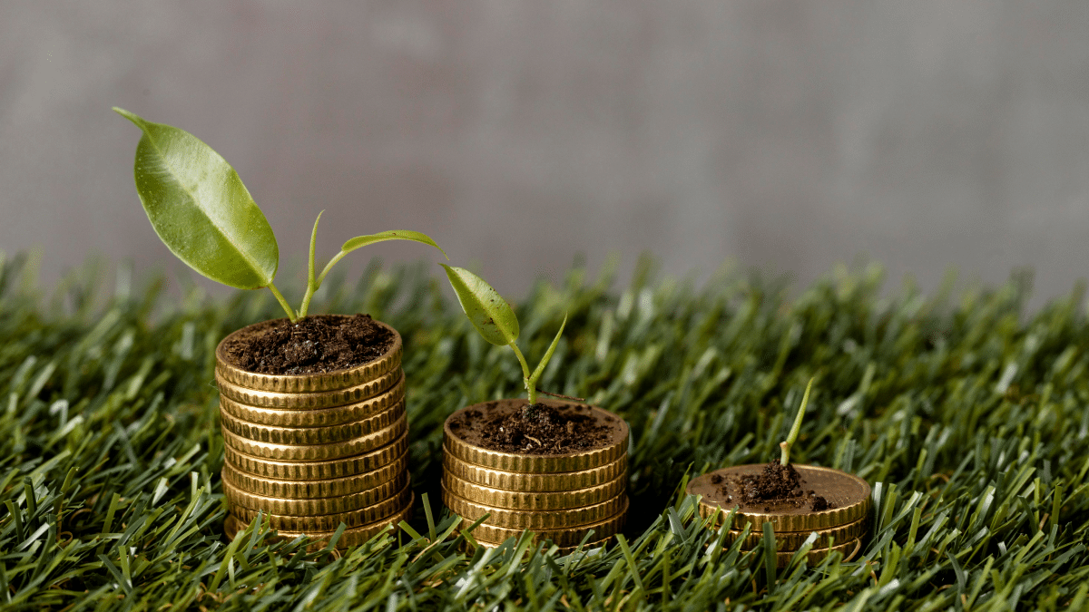 Contabilidade Verde e ESG: entenda o que são os benefícios