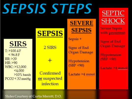 Sepsis_Steps