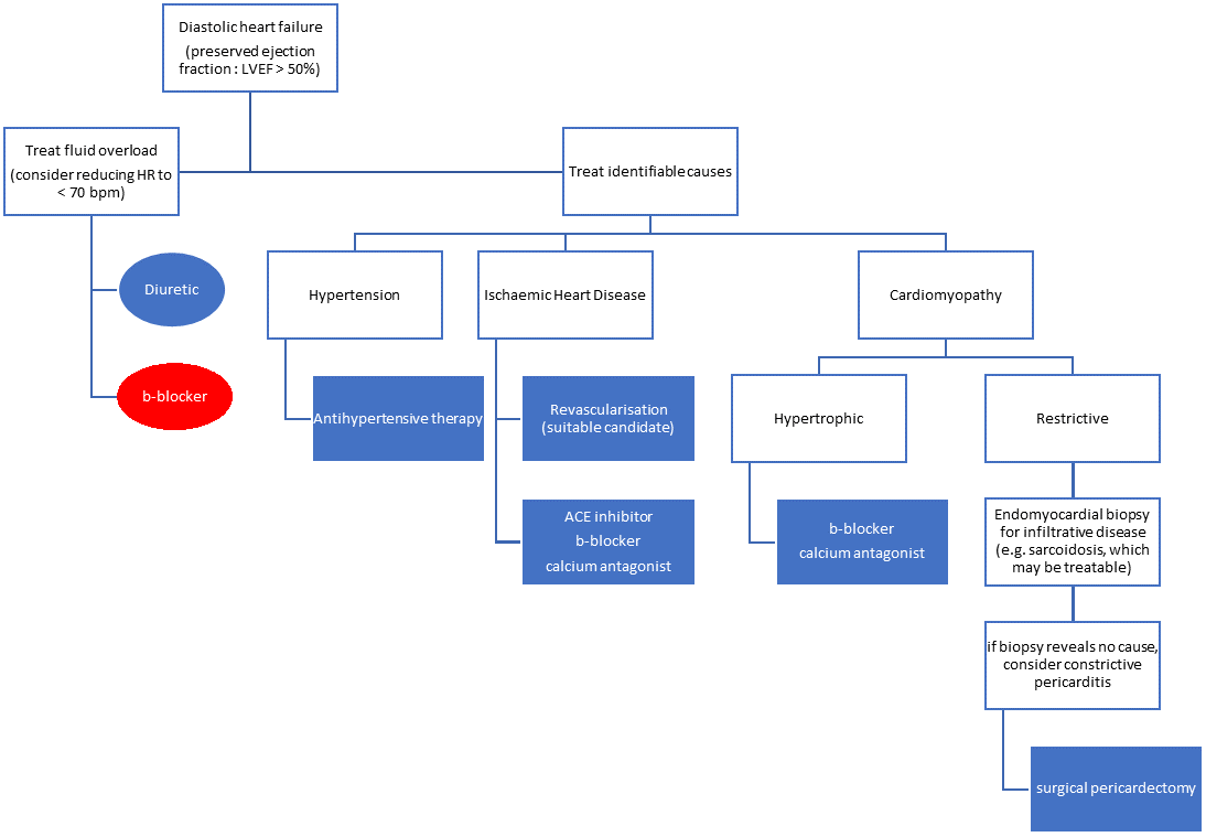 Diastolic HF Rx algorithm