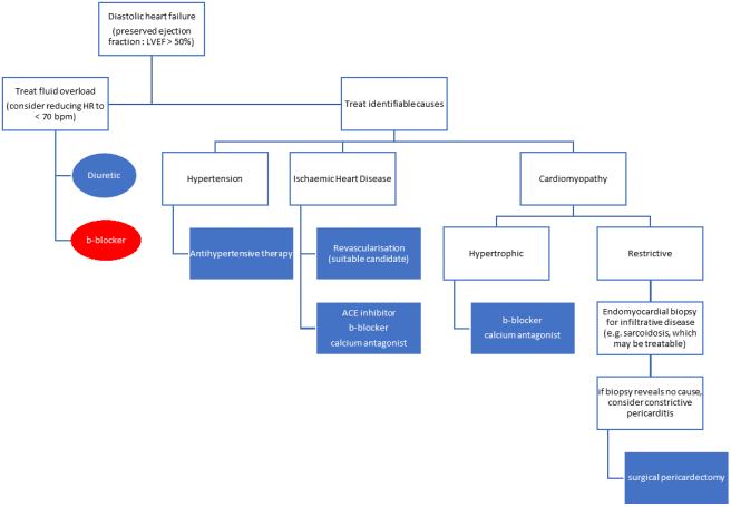 Diastolic HF Rx algorithm
