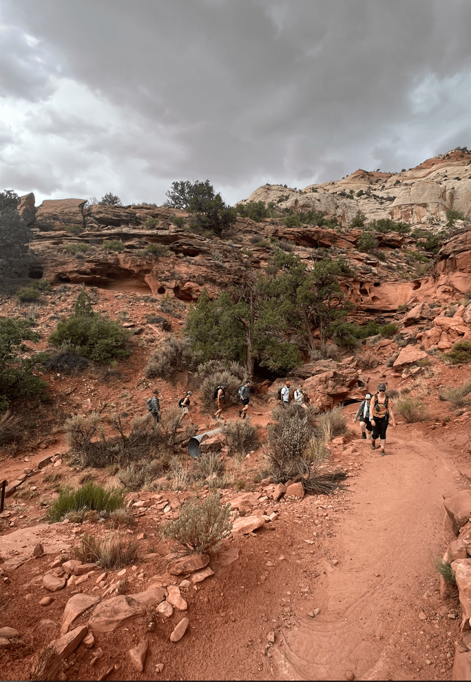 Lower Calf Creek Falls Hike