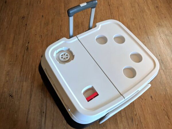 Closed Coolest Cooler with handle