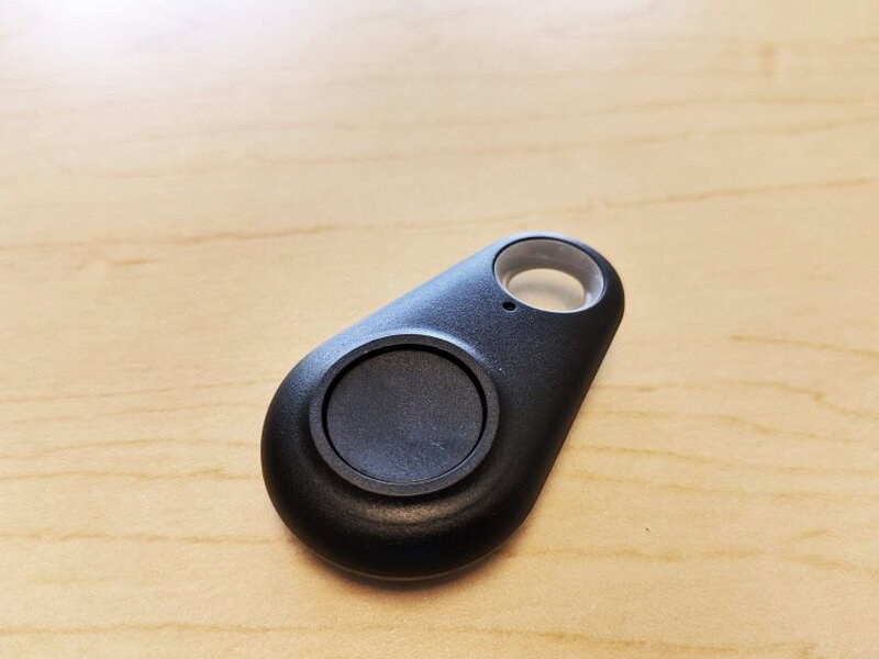 The small remote has one large button, a keyring opening, and a tiny indicator light.