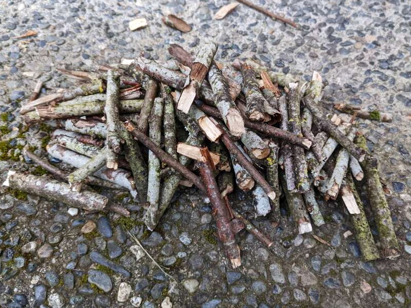 A pile of twigs and kindling, gathered and ready to load.