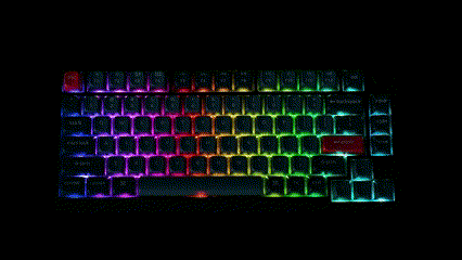 Animated V1 Max RGB lighting