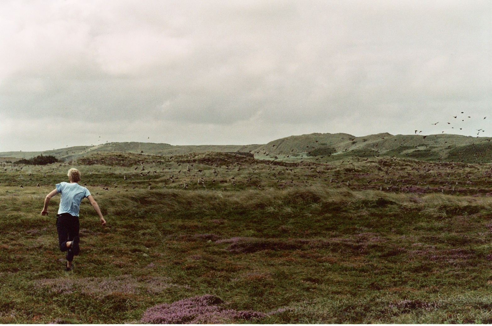Hvide Sande II, Jutland