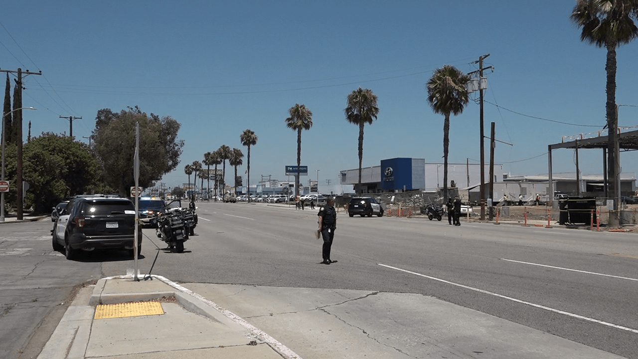 Pedestrian struck and killed in vehicle collision