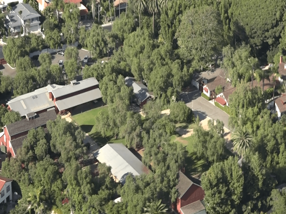 7 Long Beach hidden gems in 7 minutes from the air