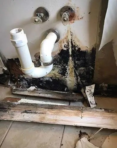 Mold Keeps Coming Back After Cleaning? Long Island Guide