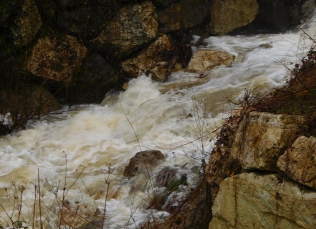 Image00012