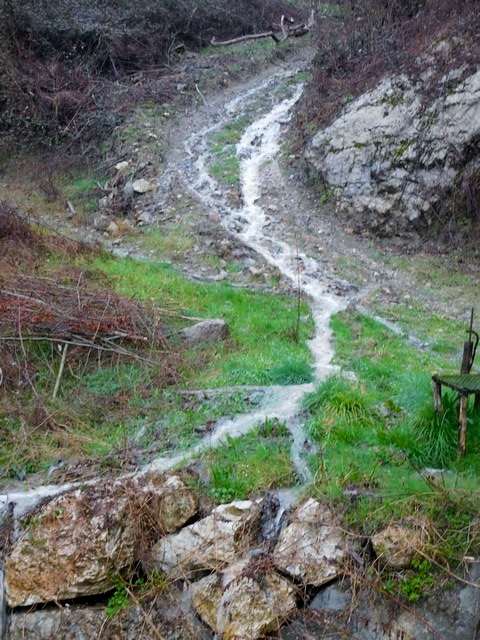Image00013