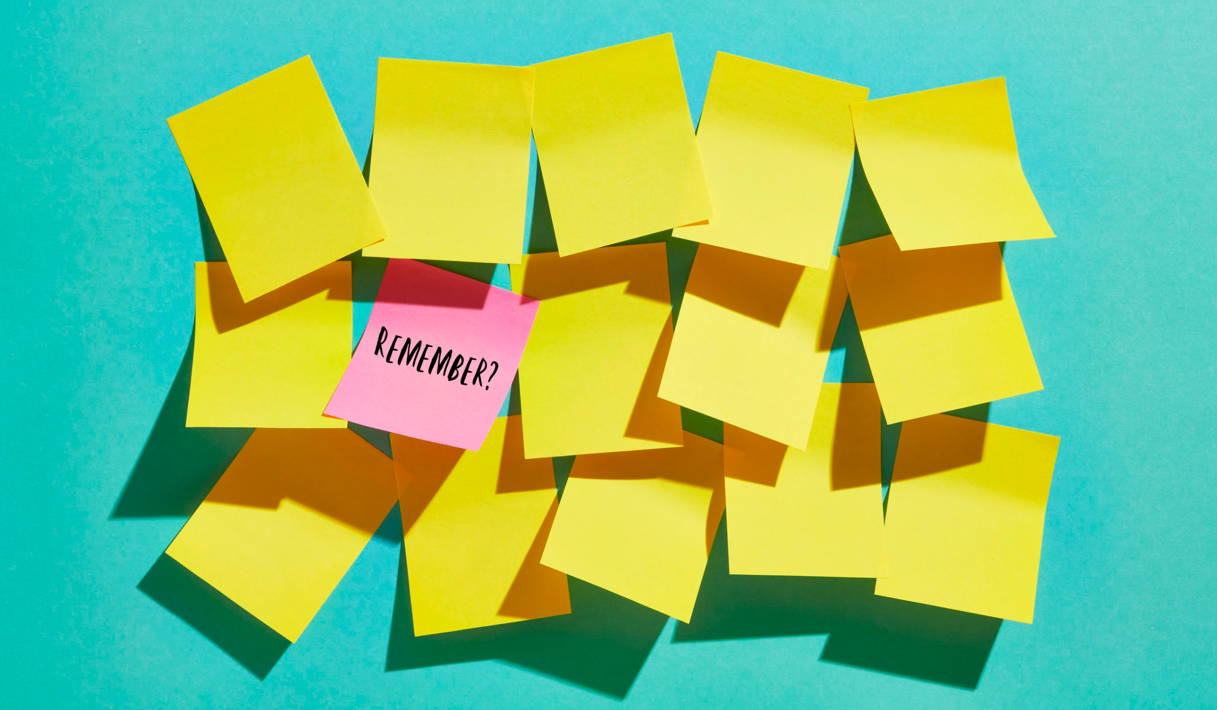 longreads.com - Tim Requarth - The Memory Maker