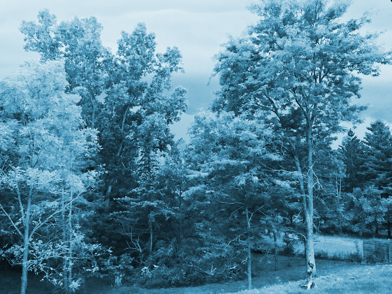 Storms a-coming, Perry Road, Summer 2018