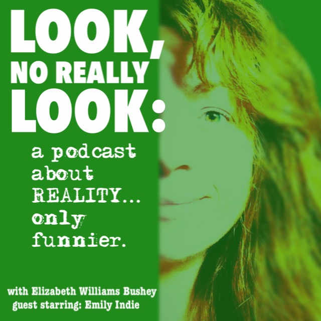 Look No Really Look: Logo