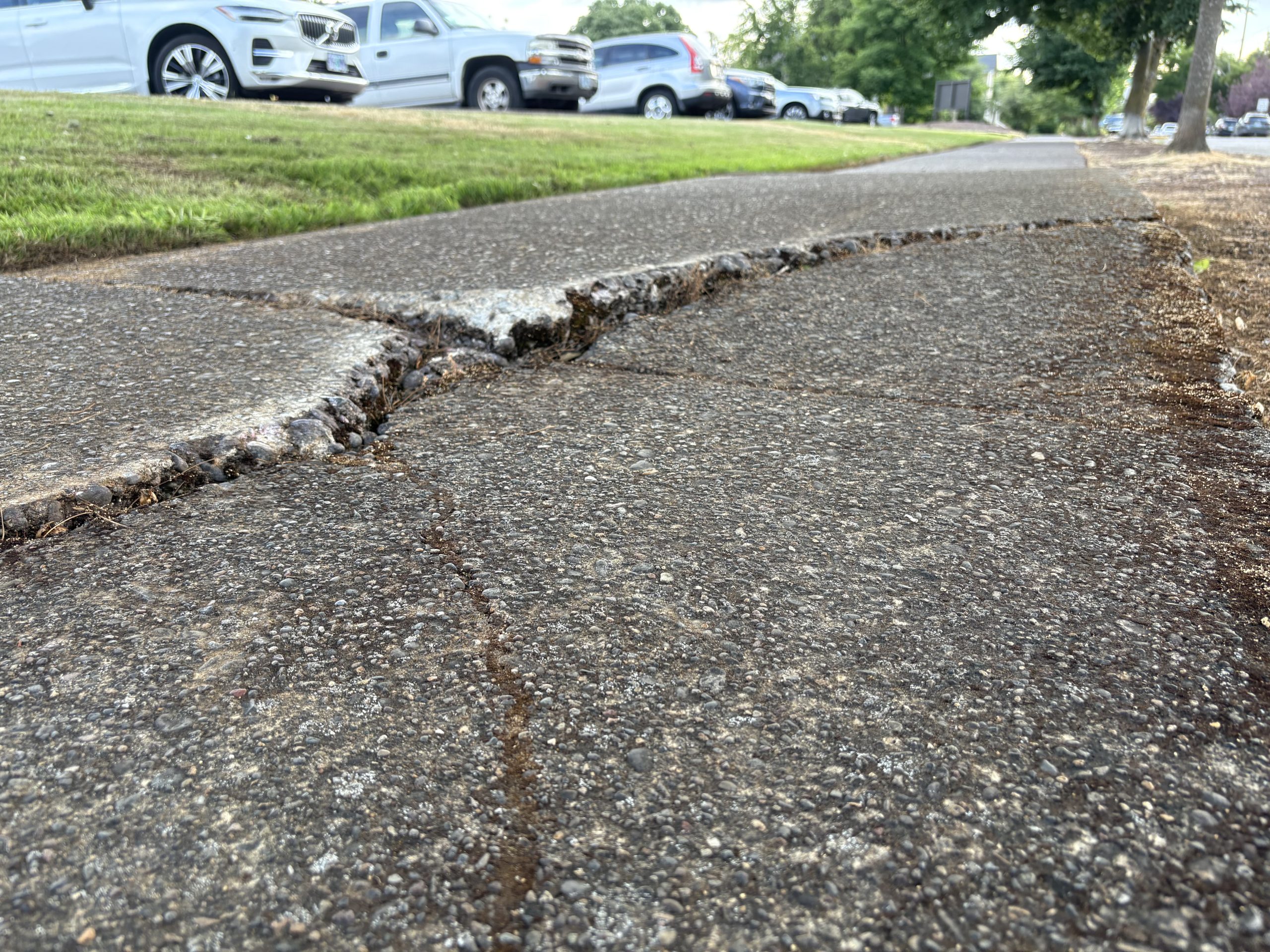 cracked sidewalk with grass in the background