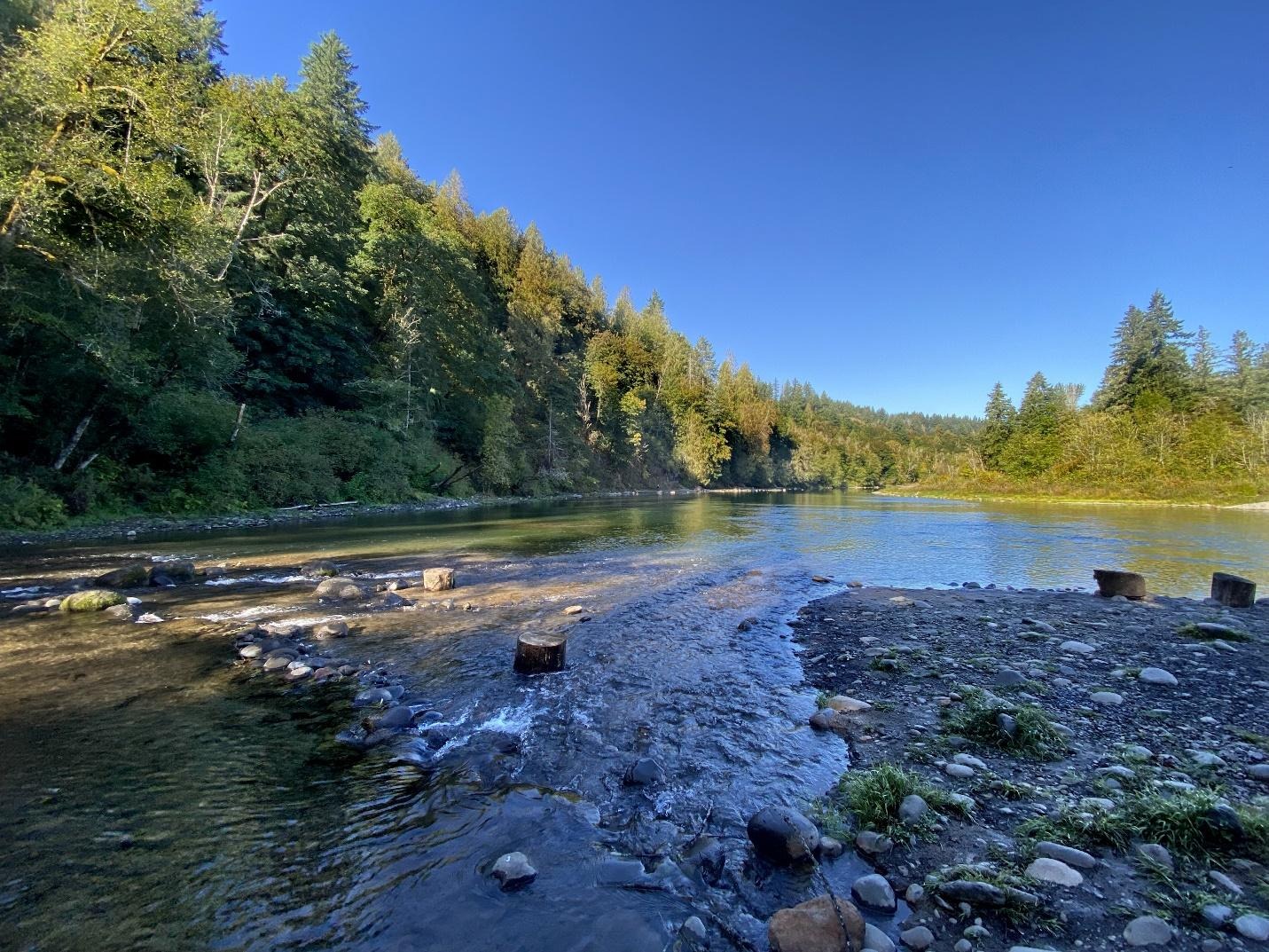 image-108.jpeg?fit=1431%2C1073&ssl=1