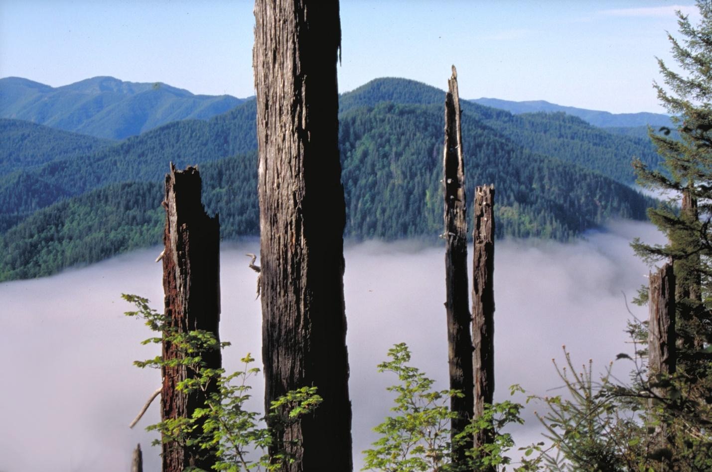 image-99.jpeg?fit=1429%2C948&ssl=1