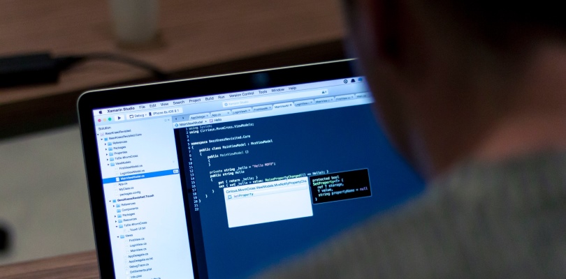 wordpress-developers