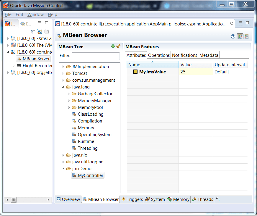 Spring Jmx Manage Beans In Runtime Looks Ok