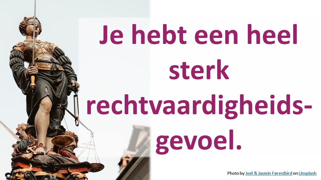 Je hebt een heel sterk rechtvaardigheidsgevoel.