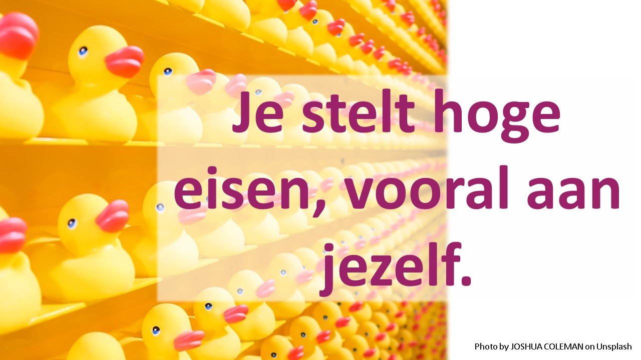 Je stelt hoge eisen, vooral aan jezelf.