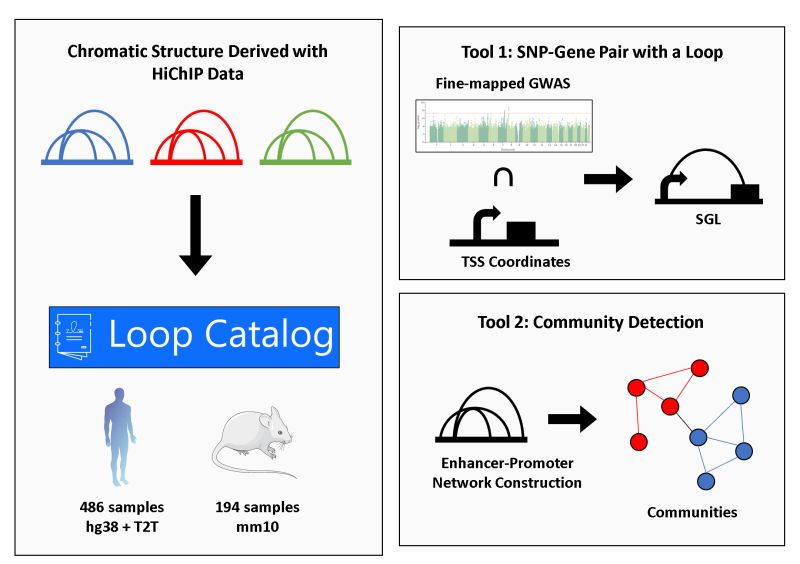 Loop Catalog - Artistic Sunset Illustration - Desktop