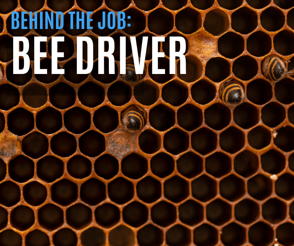 Focus on Unusual Jobs: A Conversation with One of Our Bee Drivers