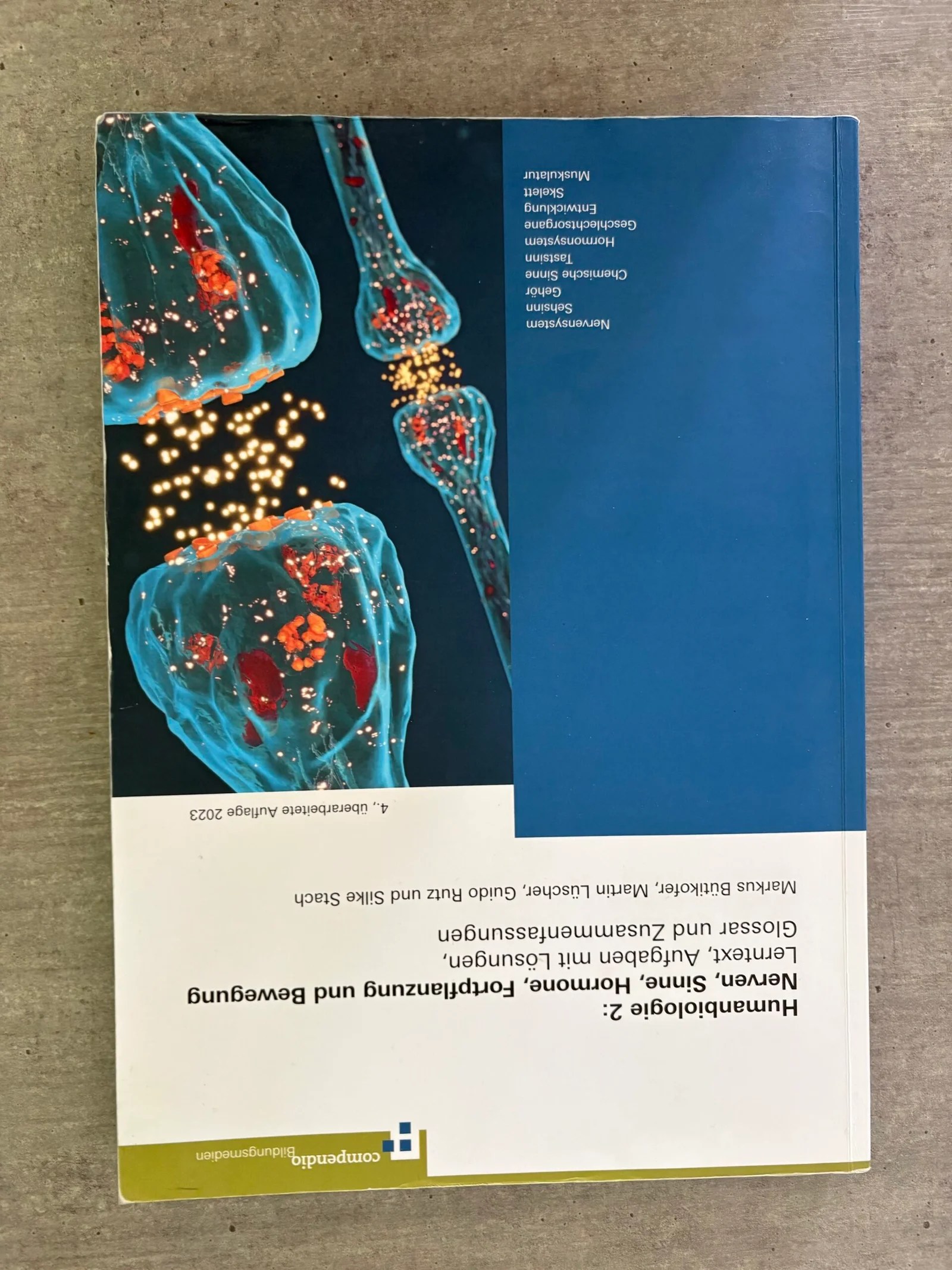 Humanbiologie 2: Nerven, Sinne, Hormone, Fortpflanzung und Bewegung - Lerntext, Aufgaben mit Lösungen, Glossar und Zusammenfassungen