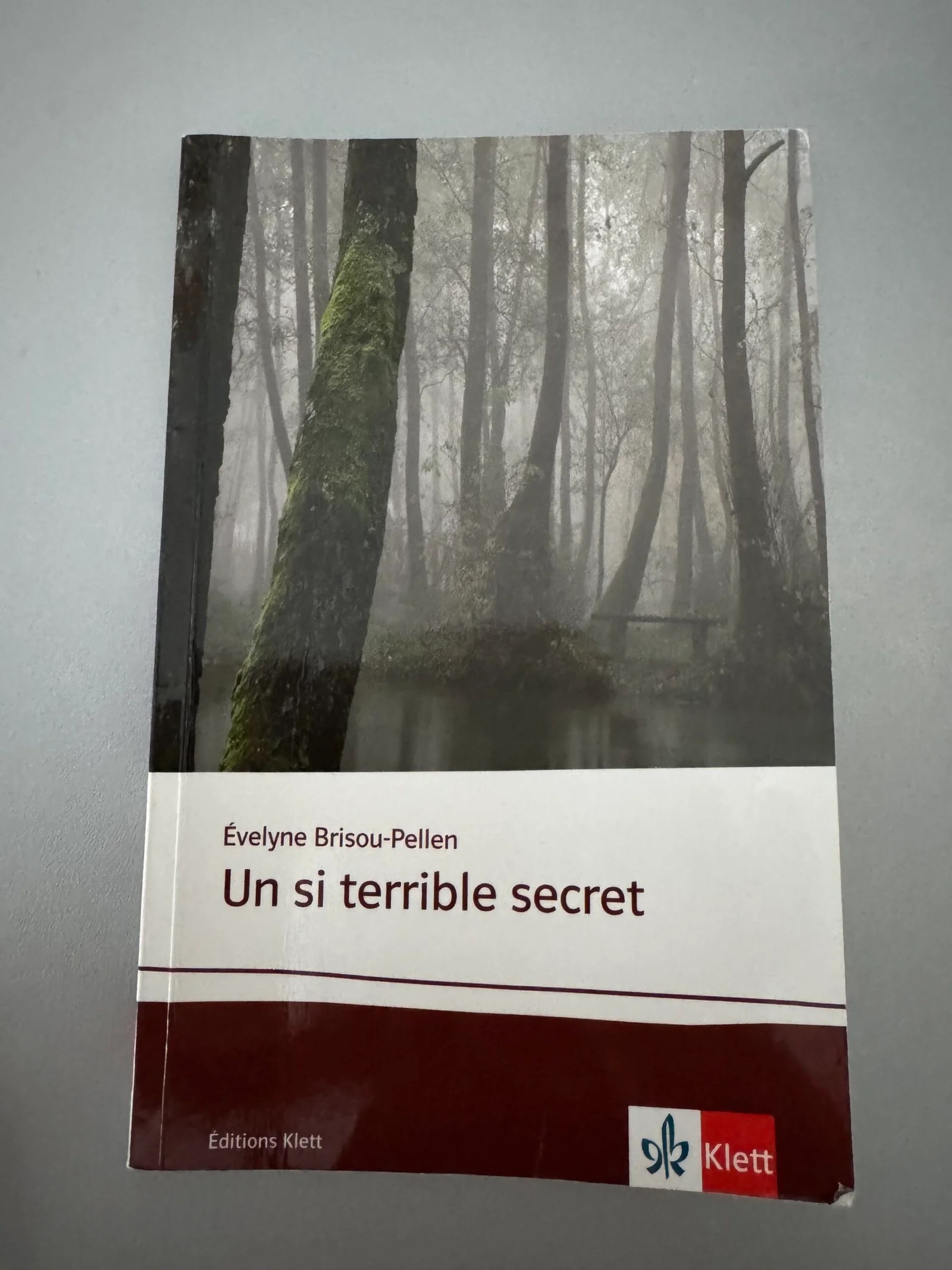 Un si terrible secret (Evelyne Brisou-Pellen)