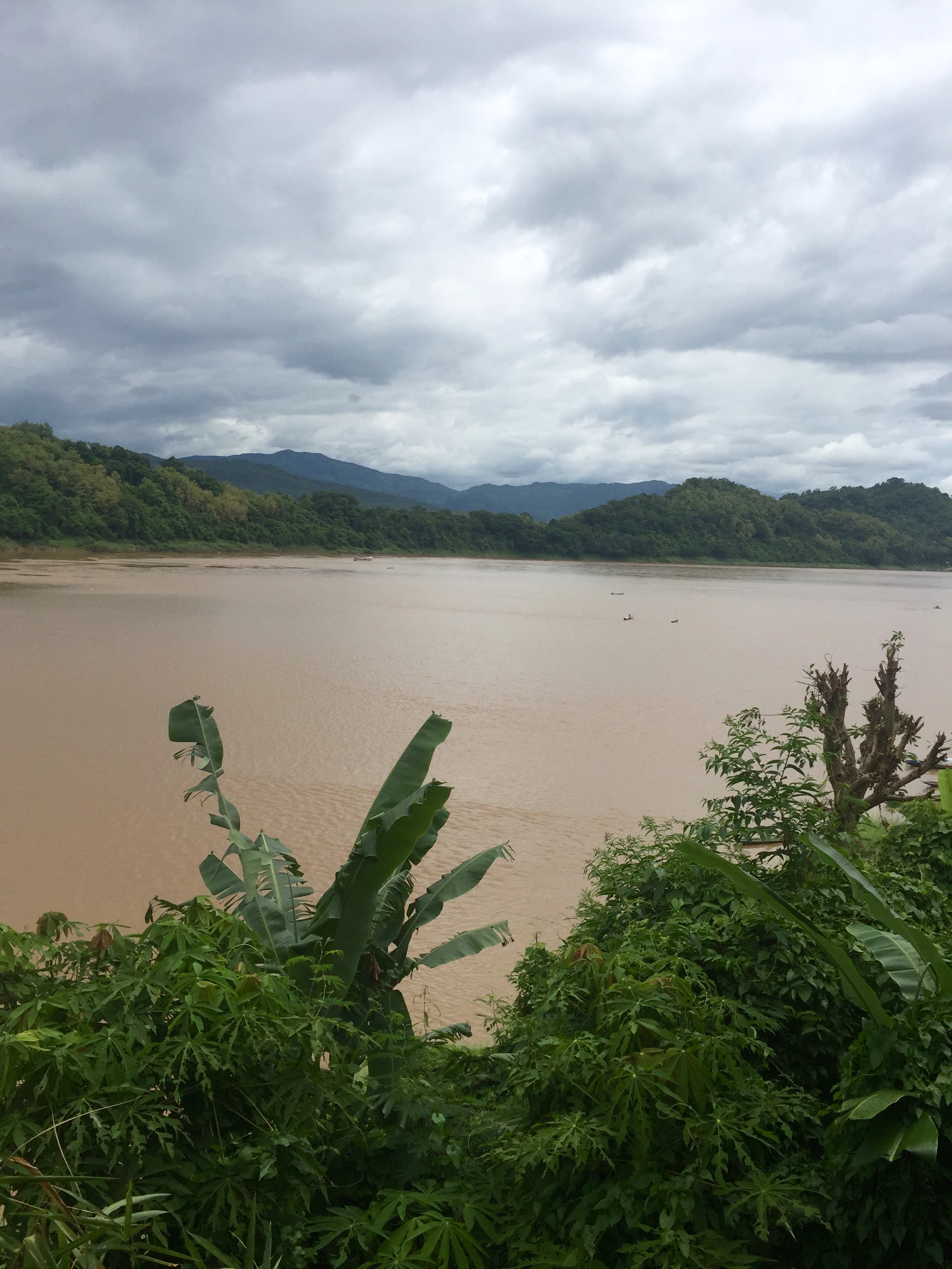 The beautiful Mekong.