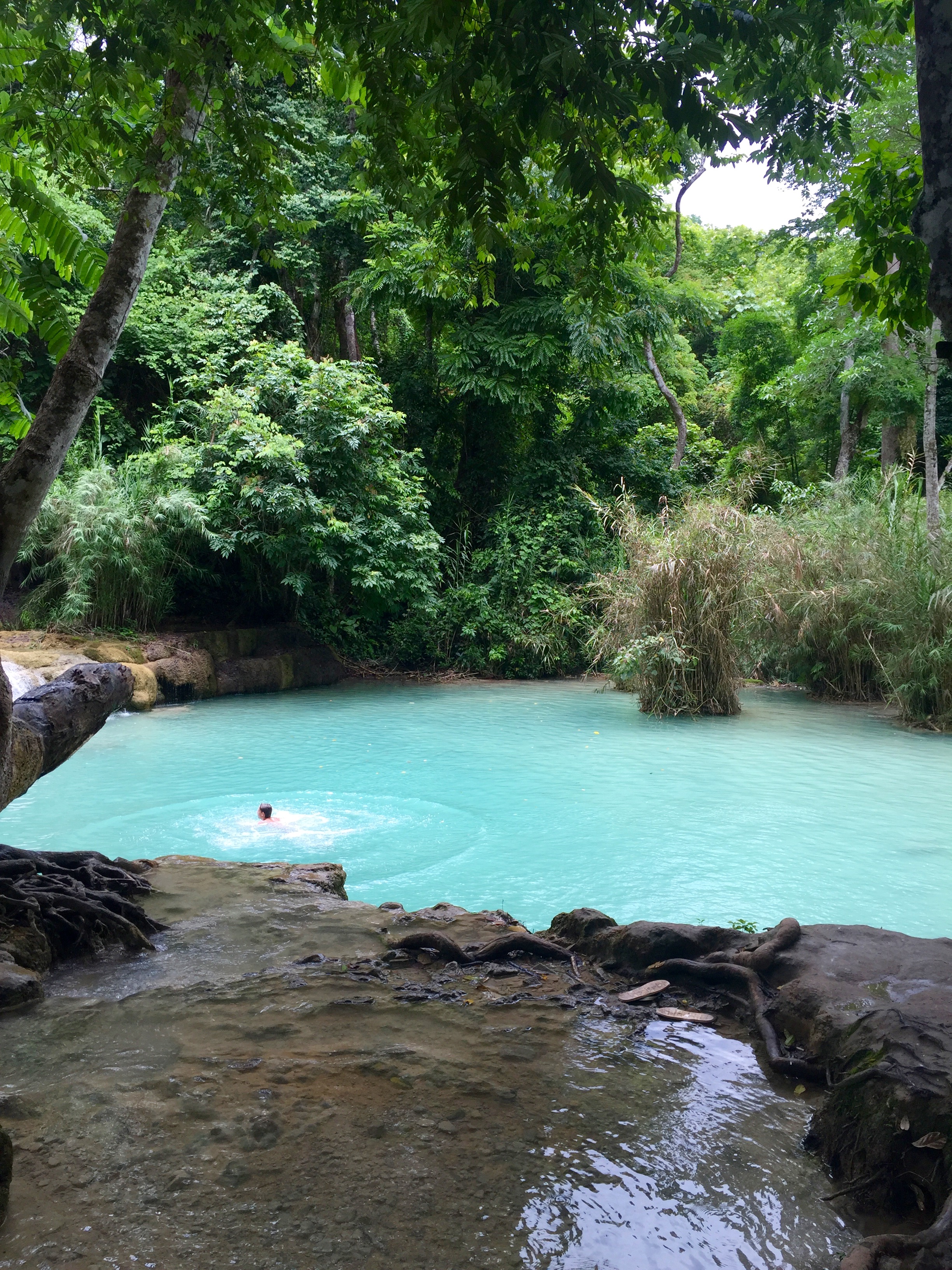 Swimming in the beautiful Kuang Si waterfall.