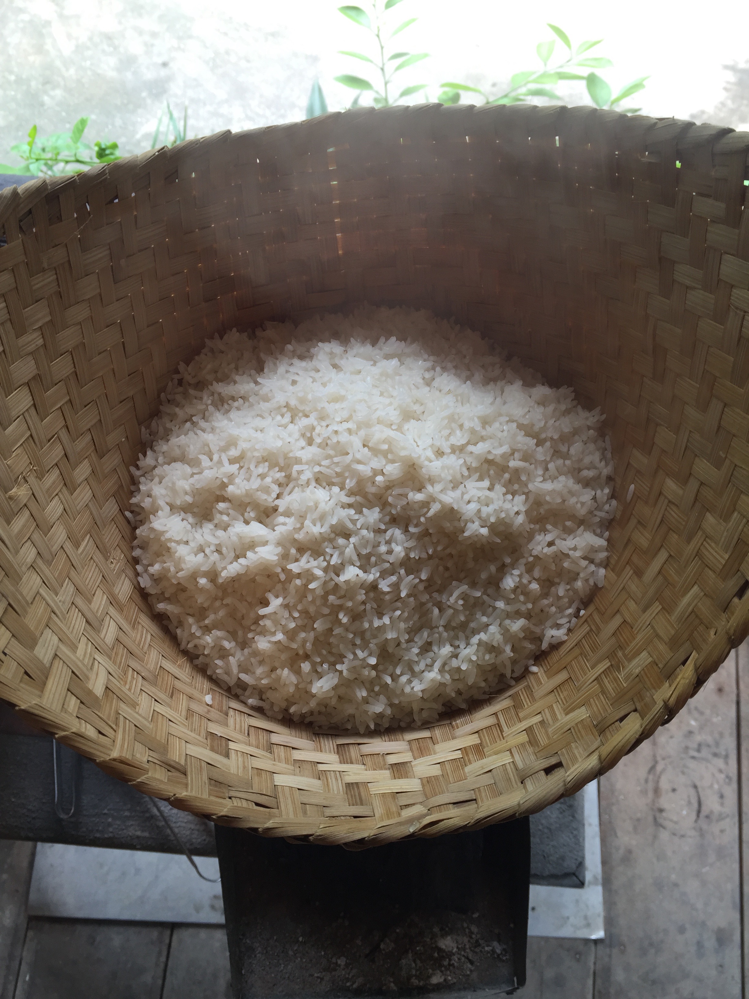 Stick rice has my <3