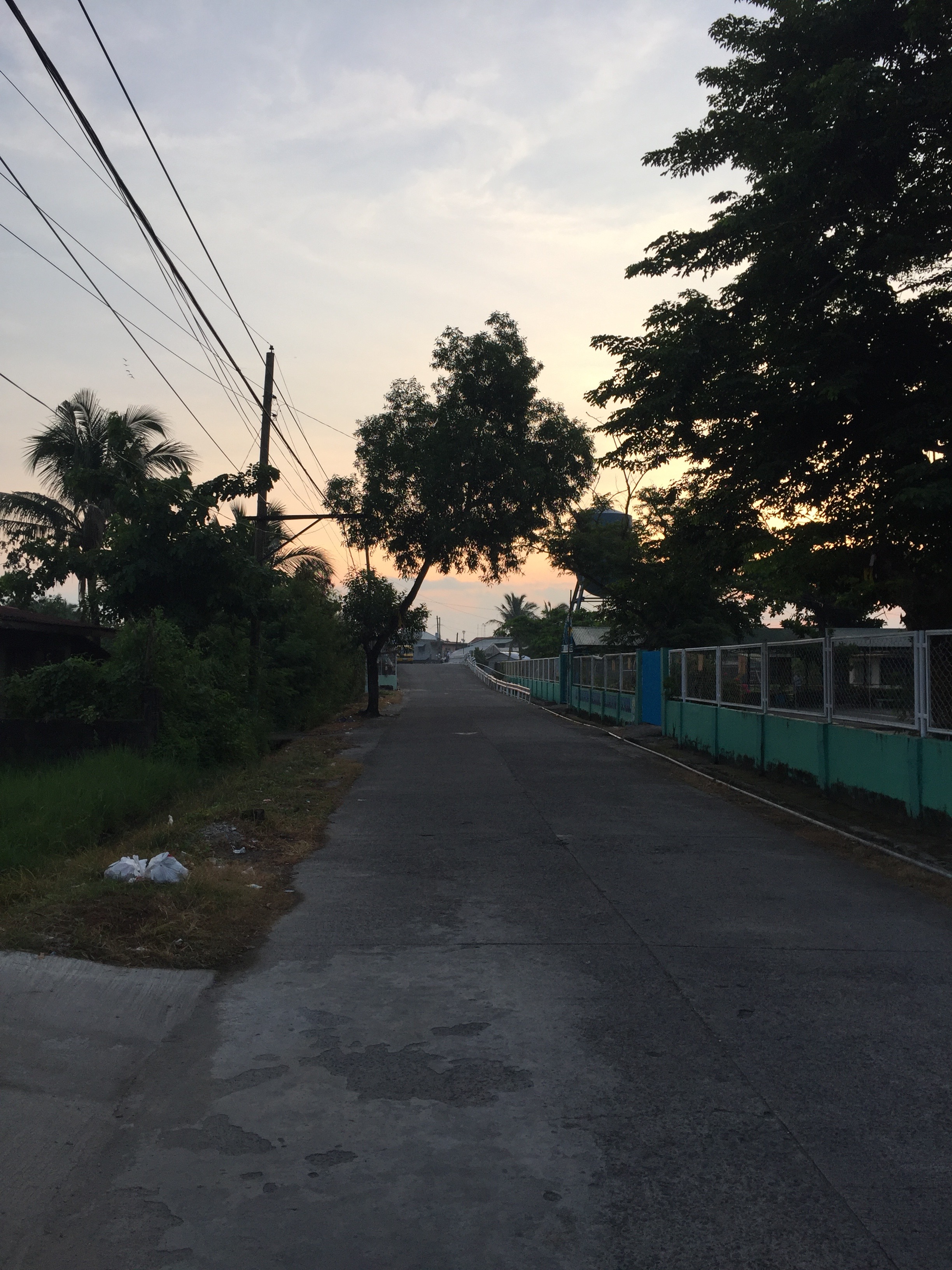 Emma's beautiful street.