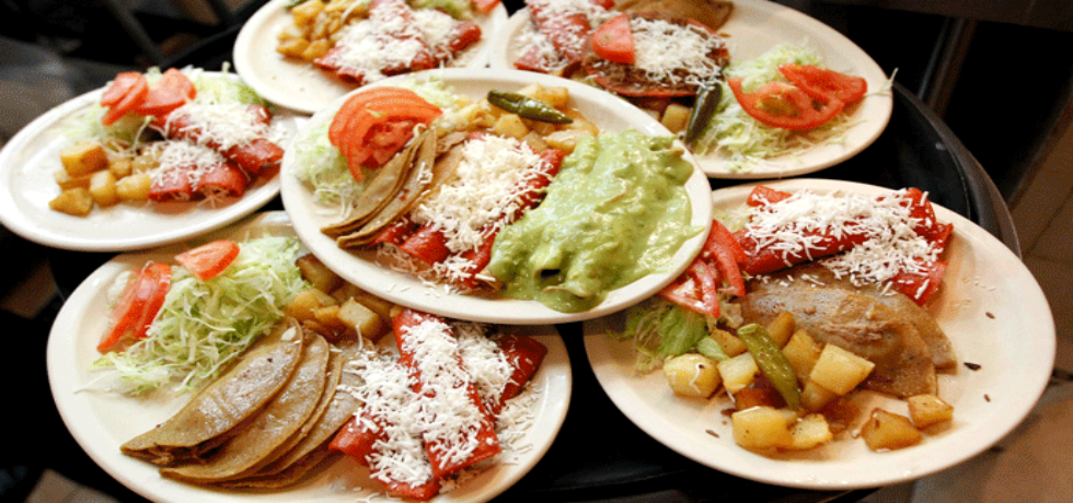 Se recomienda acudir a nutriólogo para ingerir las porciones indicadas