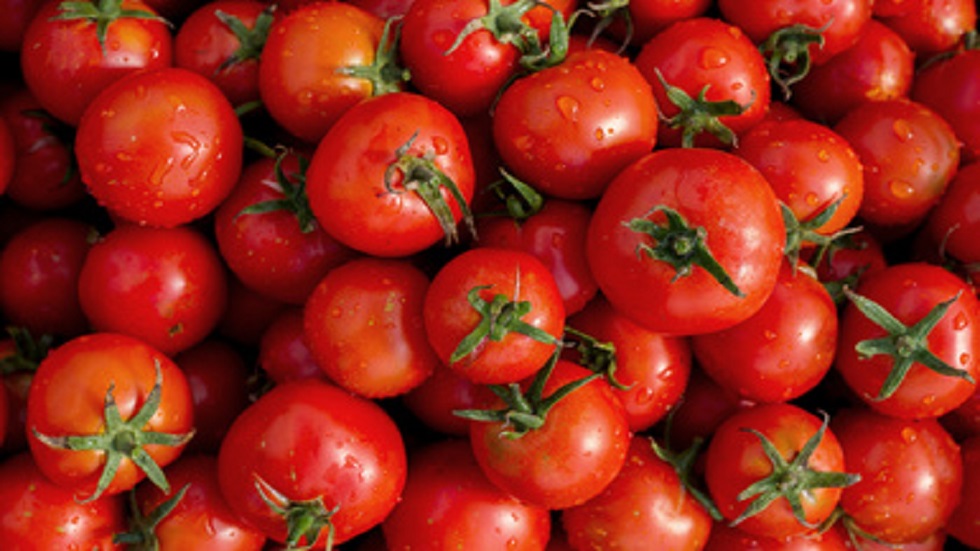 Jitomate mexicano pagará arancel del 17.5 por ciento en EE.UU.
