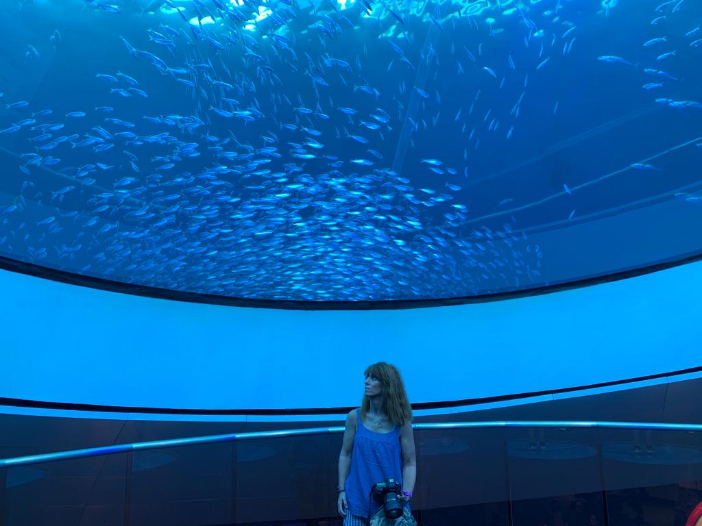 Uno de los acuarios más espectaculares del mundo, por Ivonne Frid