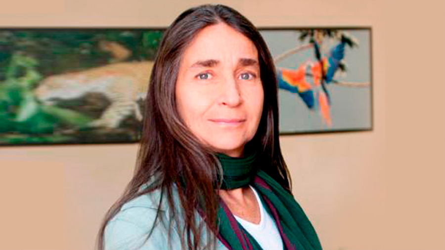 La agenda ambiental no es prioritaria, ni ahora ni en el pasado: Julia Carabias