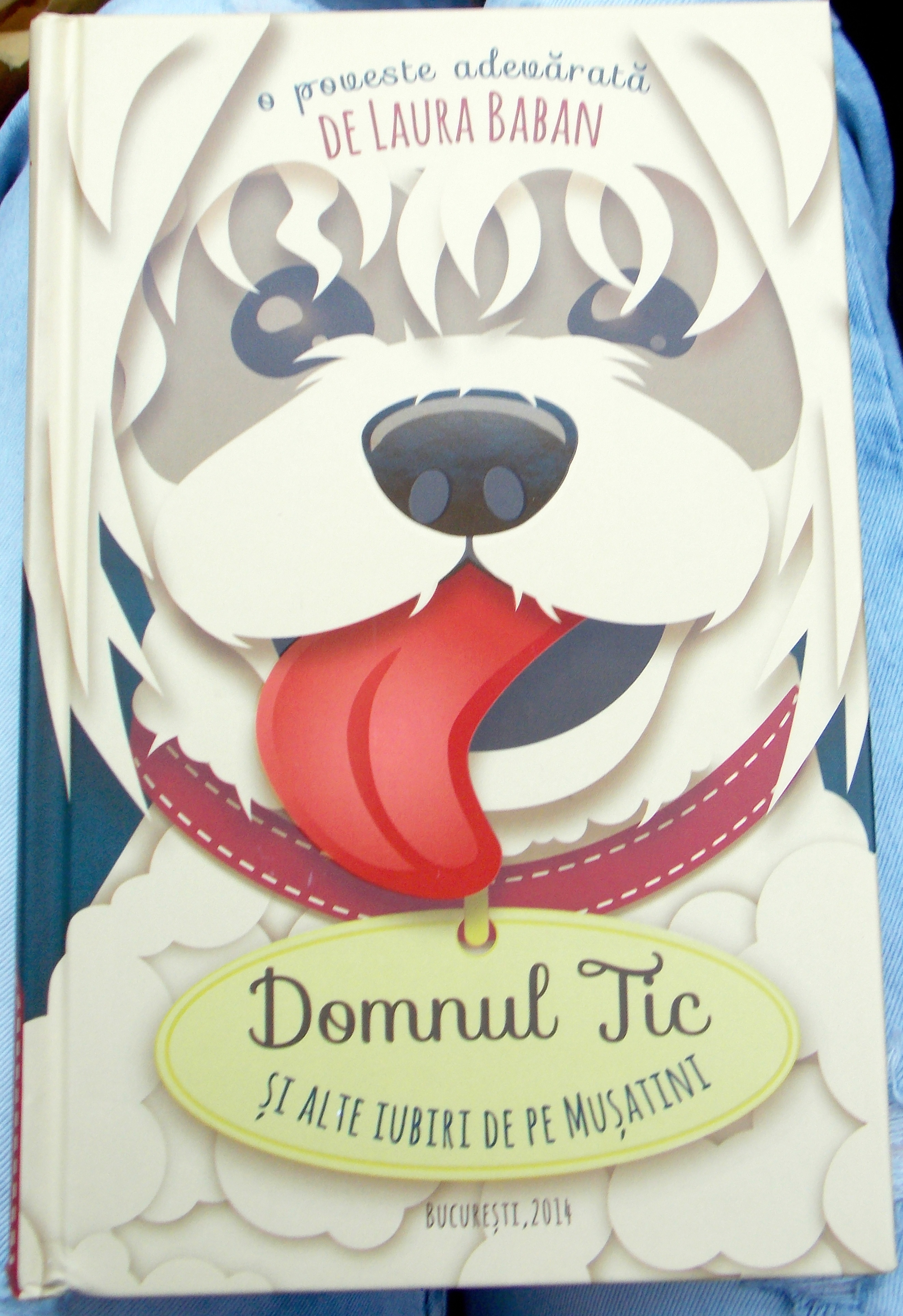 Domnul Tic și alte iubiri de pe Mușatini - Laura Baban