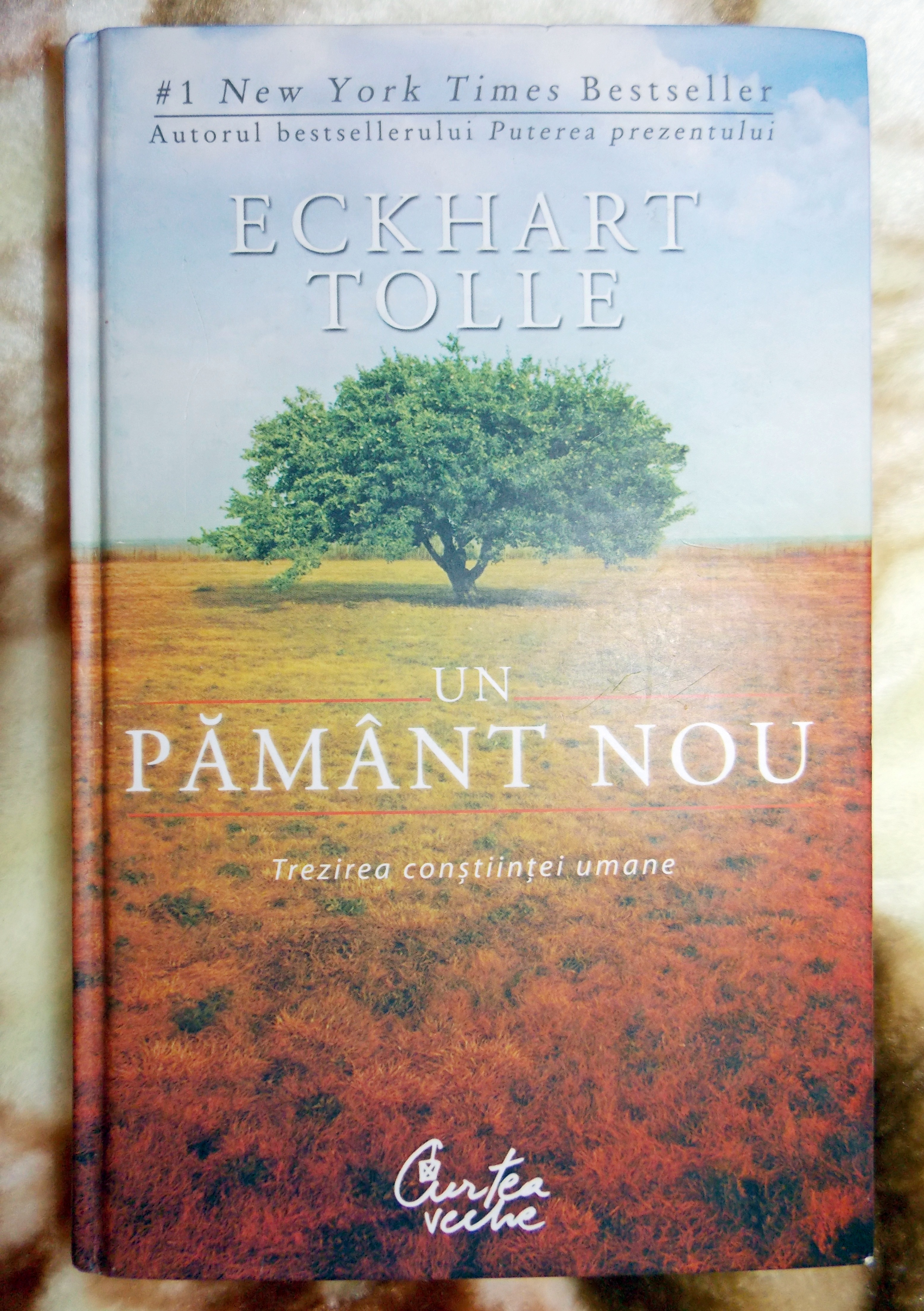Un pământ nou - Eckhart Tolle