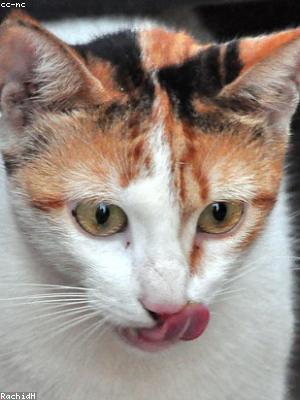 Part 1 Research Report Decision Making Toolbox To Plan And Manage Park And Ride Facilities For Public Transportation Research Report And Transit Agency Case Studies The National Academies Press ISA has a large spacious air conditioned structure with a professional staff that is ready to point.